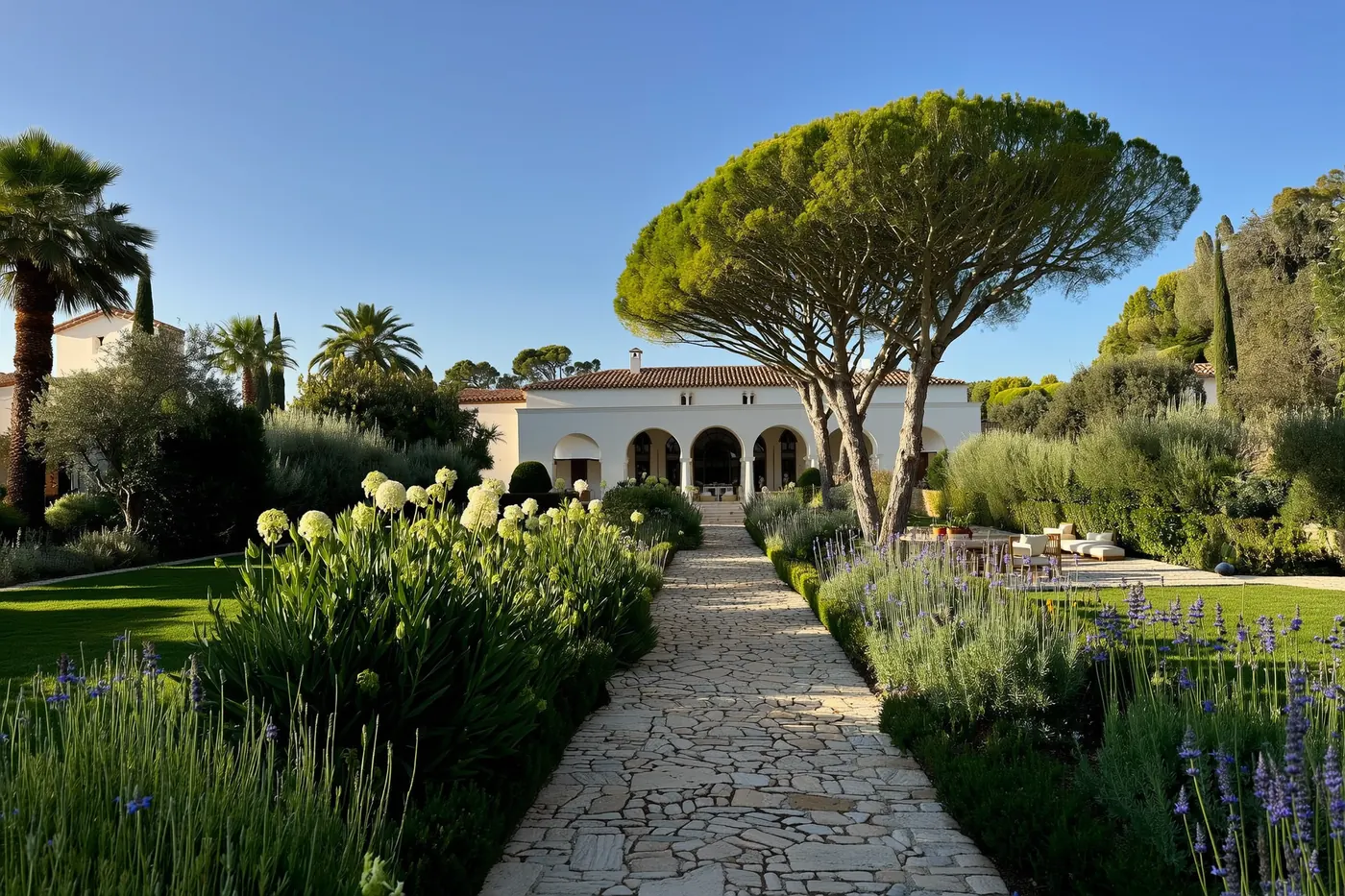 Jardín mediterráneo con lavanda y un pino piñonero frente a una villa blanca con arcos